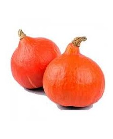 CALABAZA POTIMARRON BIO