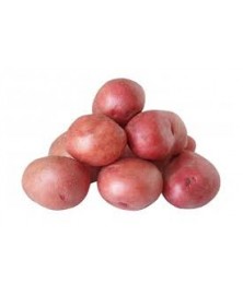 PATATA ROJA BIO