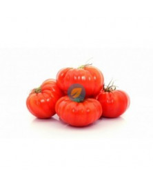 TOMATE MARMANDE BIO