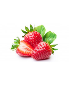 FRESAS TARRINA 500 GR BIO