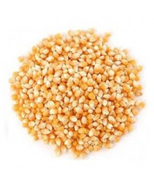 MAIZ PARA PALOMITAS BIO (GRANEL)