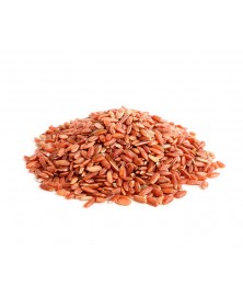 ARROZ ROJO BIO (GRANEL)