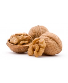 NUECES CON CASCARA BIO (GRANEL)