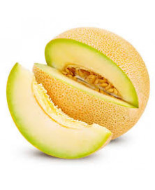 MELON GALIA BIO