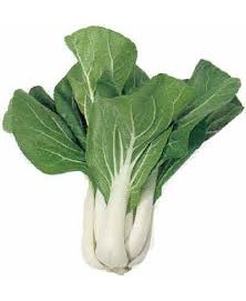 PAK CHOI BIO