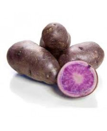 PATATA VIOLETA BIO