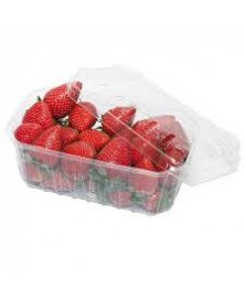 FRESAS TARRINA 250 GR BIO