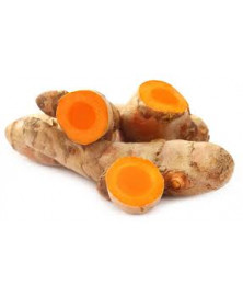 CURCUMA RAIZ BIO