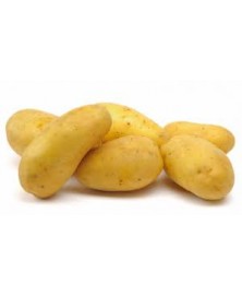 PATATA BIO