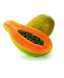 PAPAYA BIO