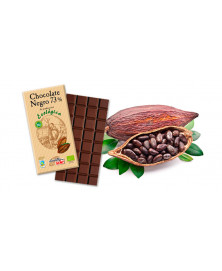 CHOCOLATE NEGRO 73% 100GR BIO