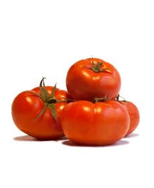 TOMATE ENSALADA BIO