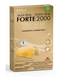 JALEA FORTE 2000 20 AMP