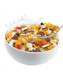 MUESLI CRUNCHY FRUIT BIO (GRANEL)