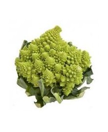 ROMANESCO BIO