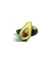 AGUACATE FUERTE BIO