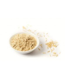 PROTEINA DE ARROZ BIO (GRANEL)