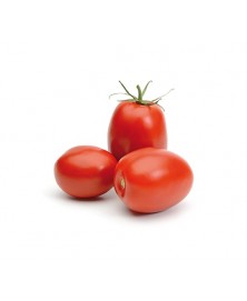 TOMATE PERA BIO