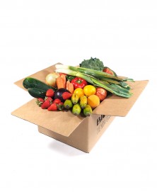 CESTA FRUTAS Y VERDURAS ECOLÓGICAS VEGANA GRANDE