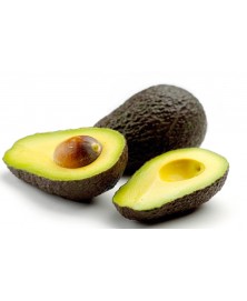 AGUACATE HASS BIO