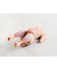 POLLO ENTERO TRALOAGRO BIO (APROX 2 KG)