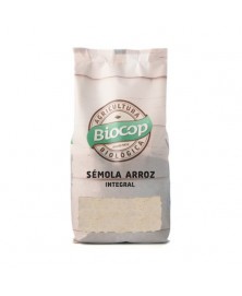 SEMOLA ARROZ INTEGRAL 500 GR BIO