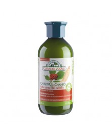 CHAMPU GINSENG Y GINKGO 300ML