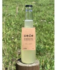 KOMBUCHA JENGIBRE Y LIMÓN 33CL