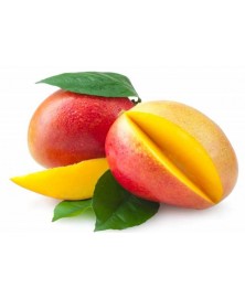 MANGO OSTEEN BIO