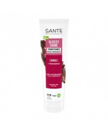 ACONDICIONADOR ABEDUL + PROVITAMINA B5 SANTE 150ML BIO