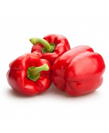 PIMIENTO ROJO CALIFORNIA BIO