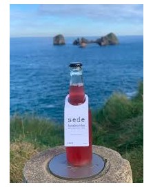 KOMBUCHA FLOR DE HIBISCO 33CL