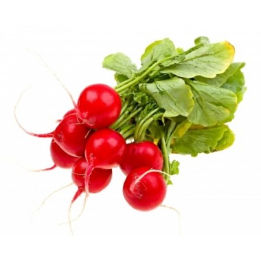 RABANITOS (MANOJO) BIO