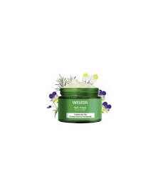 CREMA DE DIA SKIN FOOD 40ML BIO