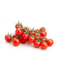 TOMATE CHERRY BIO