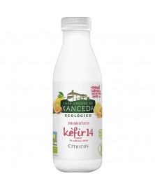 KEFIR UP VACA BOR LIMON 500 ML BIO