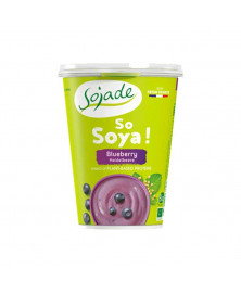 YOGUR DE SOJA SABOR ARANDANOS 400GR BIO