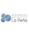 Marca ARANDANOS LA PEÑA