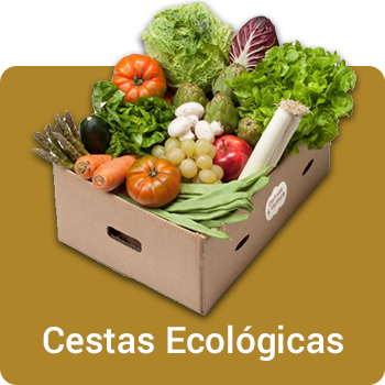 Cestas Ecológicas